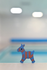 zwemschool diertje